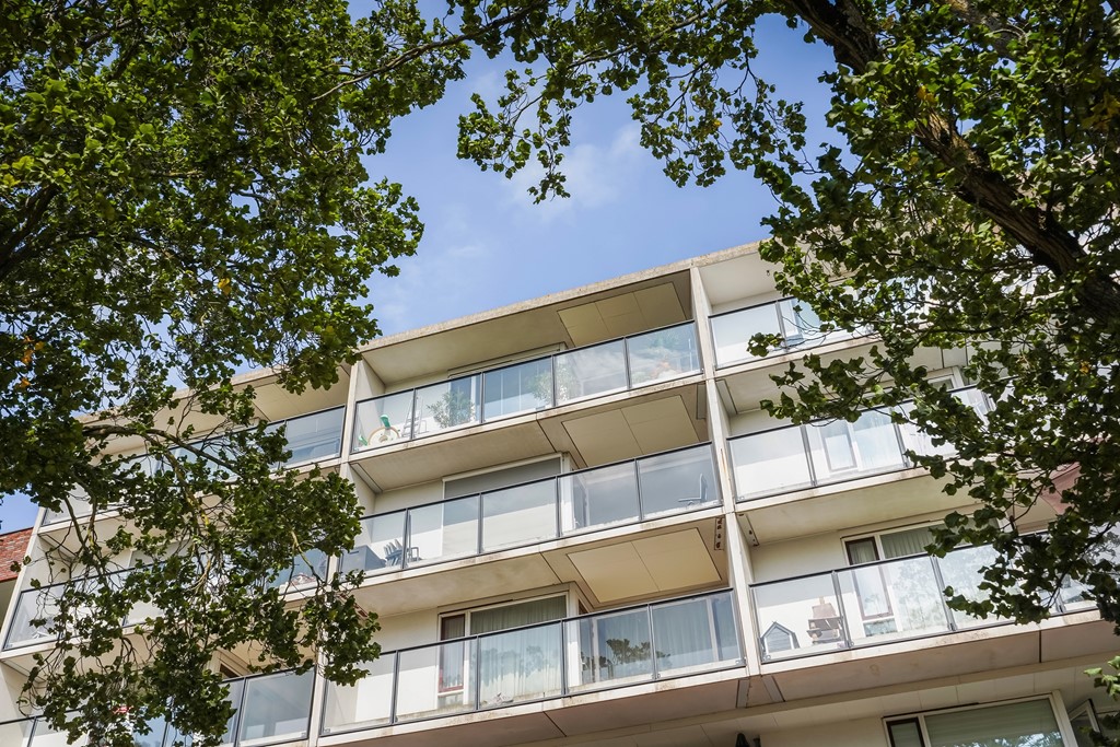 Dedemsvaartweg 582_05.jpg
